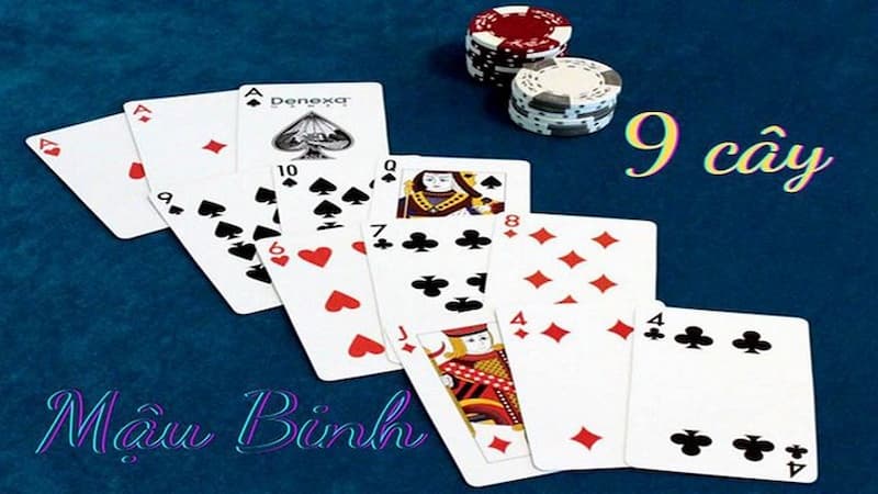 Mậu binh đầy thách thức